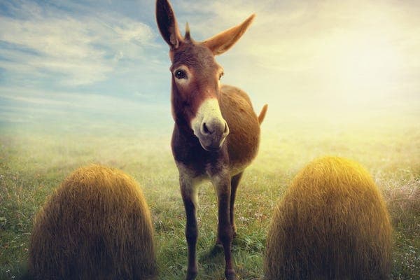 Overchoice and How to Avoid it